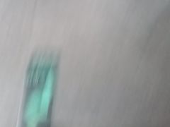 -豫丰汇河南名菜楼(武记餐饮)