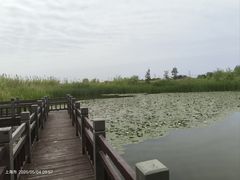 -嘉北郊野公园