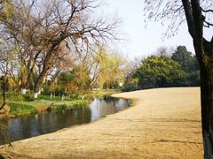-柳浪闻莺公园