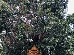 -西双版纳总佛寺