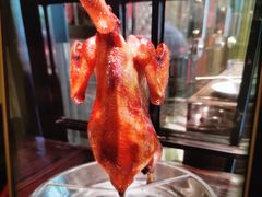 -五稻厨房粤西菜(新闻店)