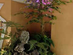 -巢爷老味(东方红店)