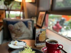 -咖法森林·咖啡  酒吧(天河店)