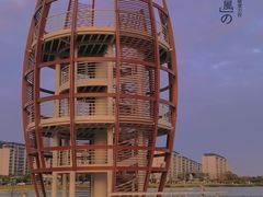 -芒洲湿地公园