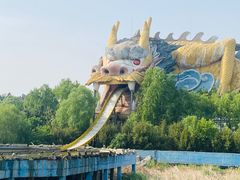 -太阳部落