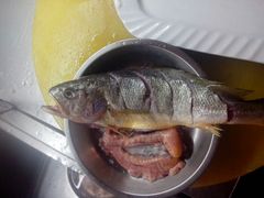 -沈家门海鲜夜排档(东港店)