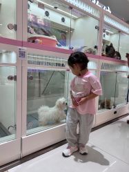 -木马王国(萧山银隆店)