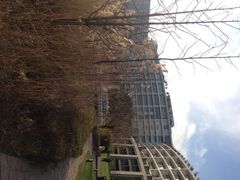 iphone_upload_pic-天目湖涵田度假村