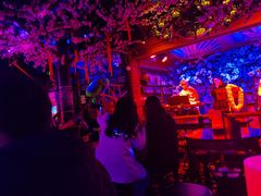 -周庄红庭演艺酒吧