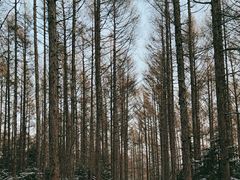 -长春净月潭风景名胜区