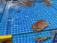 -三亚火车头万人海鲜广场