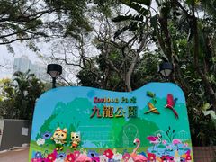 -九龙公园