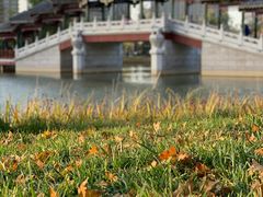 -西海子公园