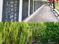 -静园(和平区)