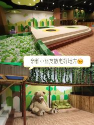 -绿野星空儿童乐园