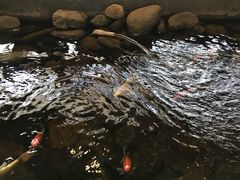 -山有花啡餐厅(常营总店)