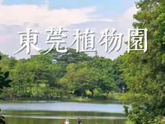 -东莞植物园