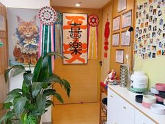 -猫十亿·布偶金渐层·曼基康矮脚猫舍(青年路店)
