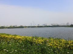 -海珠湖公园