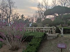 -烟台山景区