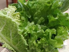 -313羊庄铁锅烀羊肉(望京店)