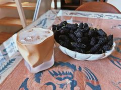 -南京小时候桑葚采摘园