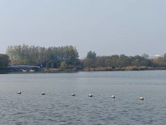 -大兴滨河森林公园