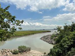 -上海吴淞炮台湾国家湿地公园