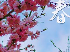 -人民防洪胜利纪念塔