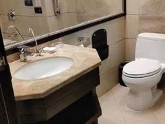 -长沙小天鹅戴斯酒店