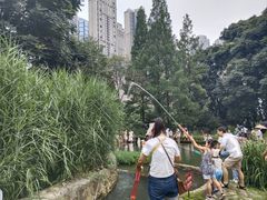 -成都市活水公园