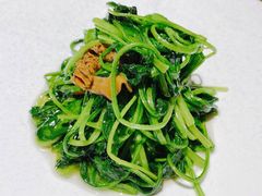 羊肚菌炒菠菜-不贰小院(余姚多元文化创意园店)