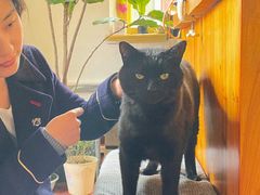 -春风十里咖啡馆