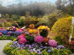 -云溪植物园