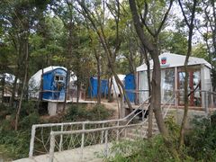 -汤山温泉房车营地 茶温泉