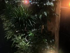 -素可汤泉(天宝大厦店)