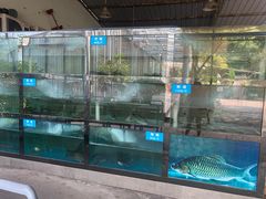 -凤来栖·净庭院·火锅(欧尚店)