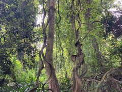 -广西壮族自治区药用植物园