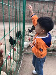 -上美四季动物农场