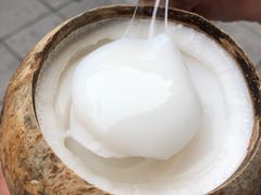 特浓椰子冻-椰爺爺·椰子冻砵仔糕