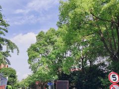 -大华梧桐墅大公馆