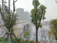 -天屿湖