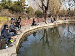 -丰台花园