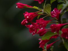 -长春公园(普阳街道)