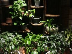 -慢丽江·云南野生菌土鸡锅(付家庄店)