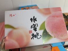 -老袁家蜜桃农场·阳山水蜜桃