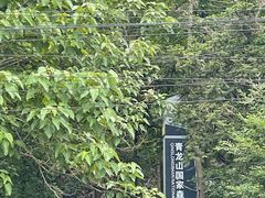 -青龙山国家森林公园