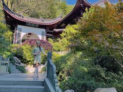 -十八棵（老龙井）御茶园(老龙井店)