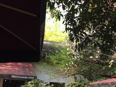 -COSTA COFFEE(西湖天地店)