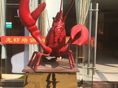 -盱眙红叶龙虾(金源北路店)